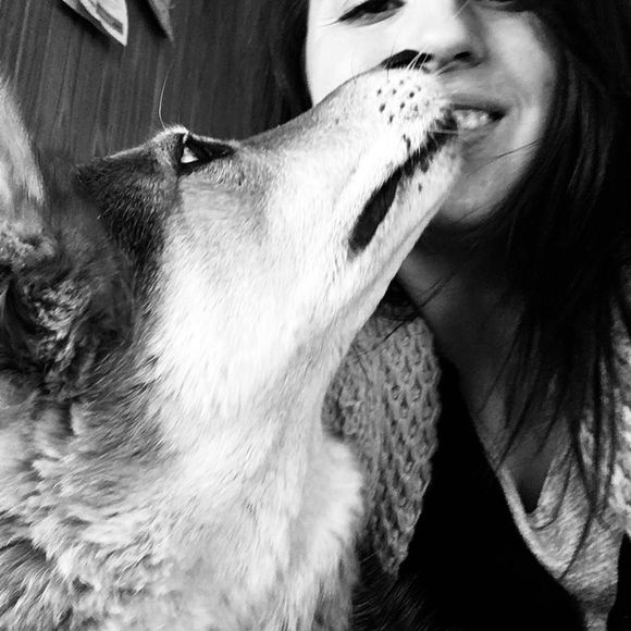 Meet your Posher, Ali - Picture 1 of 1